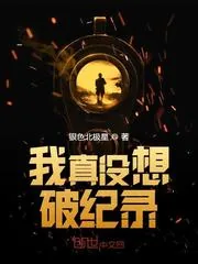 《我真没想破纪录》封面