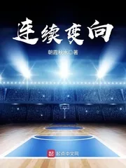 《连续变向》封面