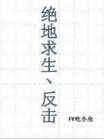 《绝地求生之反击》封面