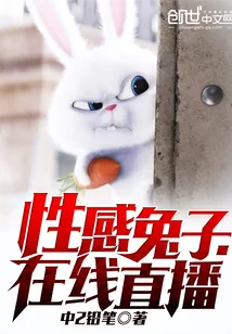 《性感兔子，在线直播》小说封面