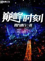 《巅峰时刻》封面