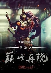《网游之巅峰再现》封面