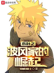 《木叶之波风家的崛起》封面