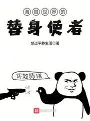 《海贼世界的替身使者》封面