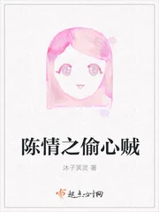 《陈情之偷心贼》封面