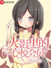 《木叶里的心悦会员》封面