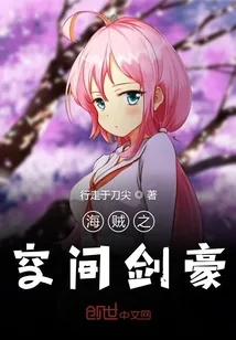 《海贼之空间剑豪》封面