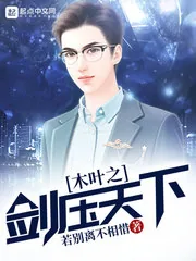《木叶之剑压天下》封面