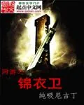 《网游之锦衣卫》封面