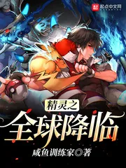《精灵之全球降临》封面