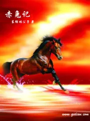 《赤兔记》封面