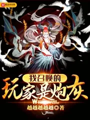 《我召唤的玩家是炮灰》封面