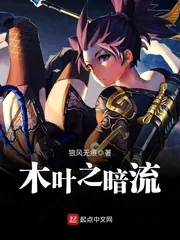 《木叶之暗流》封面