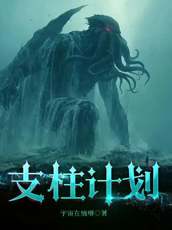 《支柱计划》小说封面