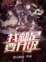 《我就是要升级》封面