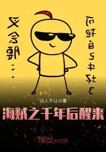 《海贼之千年后醒来》封面