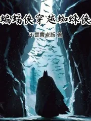 《蝙蝠侠穿越蜘蛛侠》小说封面