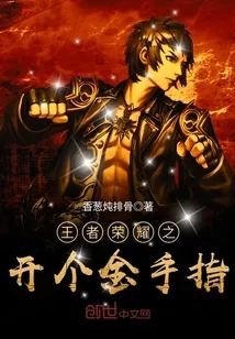 《王者荣耀之开个金手指》封面