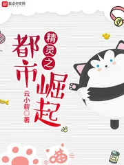 《精灵之都市崛起》封面