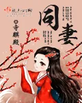 《美神禁猎区》小说封面