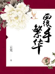 《覆手繁华》小说封面