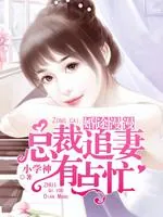 《总裁追妻有点忙》封面