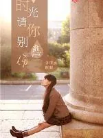 《时光请你别伤悲》封面