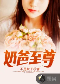 《奶爸至尊》封面