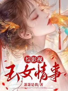 《综影视：玉女情事》小说封面