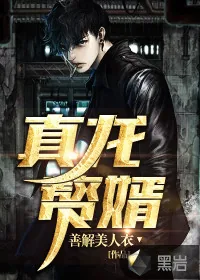《真龙赘婿》封面