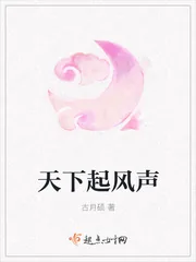 《天下起风声》封面
