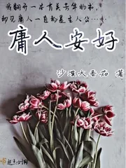 《庸人安好》封面