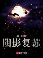 《阴影复苏》封面