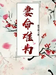 《妻命难为》封面