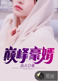 《巅峰豪婿》封面
