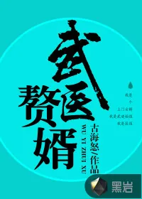 《武医赘婿》封面