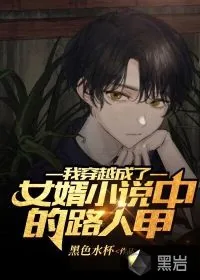 《我穿越成了女婿小说中的路人甲》封面