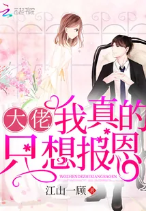 《大佬我真的只想报恩》封面