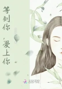 《等到你，爱上你》封面