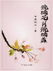 《琉璃花月琉璃盏》封面
