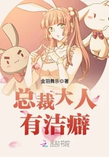 《总裁大人有洁癖》小说封面