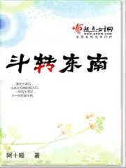 《斗转东南》封面