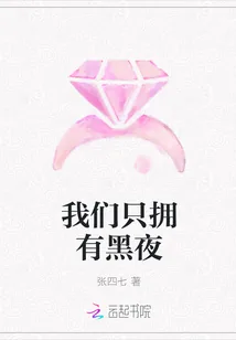 《我们只拥有黑夜》封面