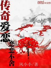 《传奇爱恋恋恋不舍》封面