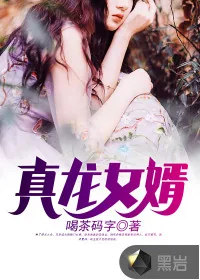 《真龙女婿》封面