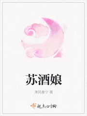 《苏酒娘》封面