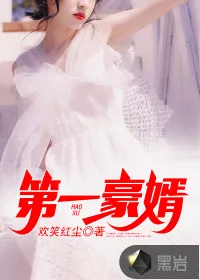 《第一豪婿》封面