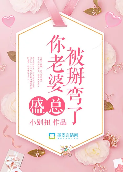 《盛总，你老婆被掰弯了》封面
