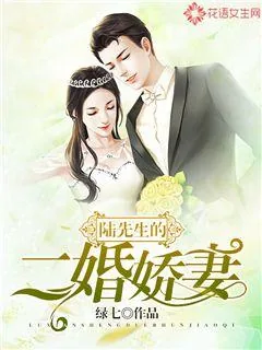 《陆先生的二婚娇妻》封面