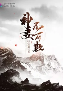 《神妻不可欺》封面